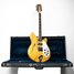 Rickenbacker 370/12 RM, Mapleglo: Free image2