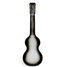 Rickenbacker 59/6 LapSteel, Gray Sunburst: Full Instrument - Rear