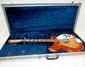 Rickenbacker 365/6 Mod, Fireglo: Full Instrument - Front