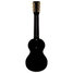 Rickenbacker B/6 LapSteel, Black: Full Instrument - Rear