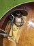 Rickenbacker 4001/4 Mod, Autumnglo: Close up - Free2