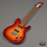 Rickenbacker 230/6 , Fireglo: Full Instrument - Front
