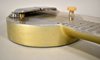 Rickenbacker A22/6 LapSteel, Gold: Close up - Free2