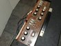 Rickenbacker Transonic 200 Head/amp , Black: Body - Front
