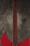 Rickenbacker 330/6 BH BT, Red: Neck - Front