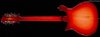 Rickenbacker 620/12 , Fireglo: Full Instrument - Rear