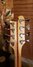 Rickenbacker 4003/8 S, Mapleglo: Headstock - Rear