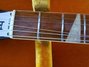 Rickenbacker 620/6 , Jetglo: Neck - Front