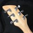 Rickenbacker 620/6 , Mapleglo: Headstock - Rear