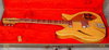 Rickenbacker 360/6 Capri, Natural: Free image