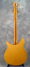 Rickenbacker 360/6 Capri, Natural: Full Instrument - Rear