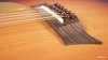 Rickenbacker 700/12 PW Build (acoustic), Fireglo: Close up - Free2