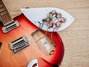 Rickenbacker 360/6 , Fireglo: Free image