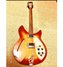 Rickenbacker 330/6 , Fireglo: Full Instrument - Front