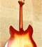 Rickenbacker 330/6 , Fireglo: Full Instrument - Rear