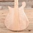Mar 2008 Rickenbacker 660/6 , Mapleglo: Body - Rear