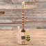 Rickenbacker 660/6 , Mapleglo: Full Instrument - Front