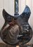 Oct 2001 Rickenbacker 330/12 , Jetglo: Body - Rear