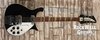 Rickenbacker 625/6 , Jetglo: Full Instrument - Front