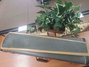 Rickenbacker SW/6 LapSteel, Mapleglo: Full Instrument - Rear