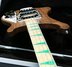 Rickenbacker 4003/4 AC Al Cisneros model, Natural Walnut: Neck - Front
