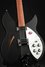 Rickenbacker 330/6 , Matte Black: Free image