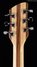 Rickenbacker 330/6 , Mapleglo: Neck - Front