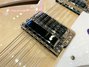 Rickenbacker 360/12 , Mapleglo: Free image