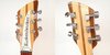 Rickenbacker 330/6 , Mapleglo: Headstock