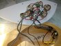 Rickenbacker 620/6 , Mapleglo: Free image