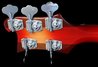 Rickenbacker 4003/5 S, Fireglo: Headstock - Rear