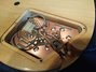 Rickenbacker 230/6 BH BT, Mapleglo: Close up - Free2