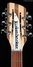 Rickenbacker 330/6 , Mapleglo: Headstock