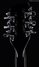 Rickenbacker 360/12 , Jetglo: Headstock - Rear