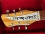 Rickenbacker 381/6 , Mapleglo: Headstock