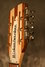 Rickenbacker 381/12 V69, Mapleglo: Headstock