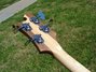 Rickenbacker 4003/4 S, Natural Walnut: Headstock - Rear