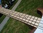 Rickenbacker 4003/4 S, Natural Walnut: Neck - Front
