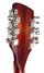Rickenbacker 370/12 RM, Fireglo: Headstock - Rear