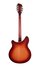 Rickenbacker 370/12 RM, Fireglo: Full Instrument - Rear