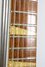 Rickenbacker 365/6 Mod, Natural: Close up - Free2