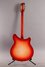 Rickenbacker 360/12 , Fireglo: Full Instrument - Rear