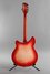 Rickenbacker 360/12 , Fireglo: Full Instrument - Rear