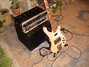 Rickenbacker 4003/4 , Mapleglo: Full Instrument - Front