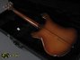 Rickenbacker 4001/4 , Autumnglo: Body - Rear
