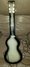 Rickenbacker 59/6 LapSteel, Gray: Full Instrument - Rear