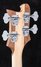 Rickenbacker 4003/4 , Natural Walnut: Headstock - Rear