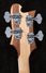 Rickenbacker 4003/4 , Natural Walnut: Headstock - Rear