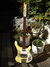 Rickenbacker 4001/4 CS, Cream: Full Instrument - Front