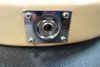 Rickenbacker 330/6 , Mapleglo: Close up - Free